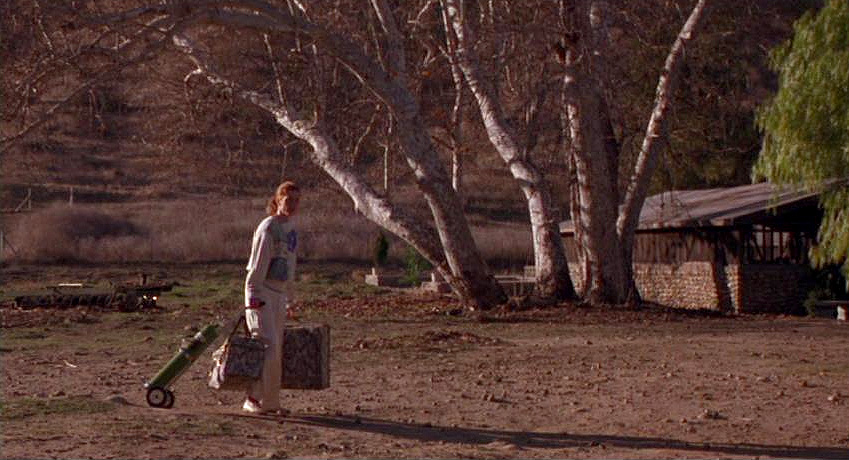 Julianne Moore in Safe