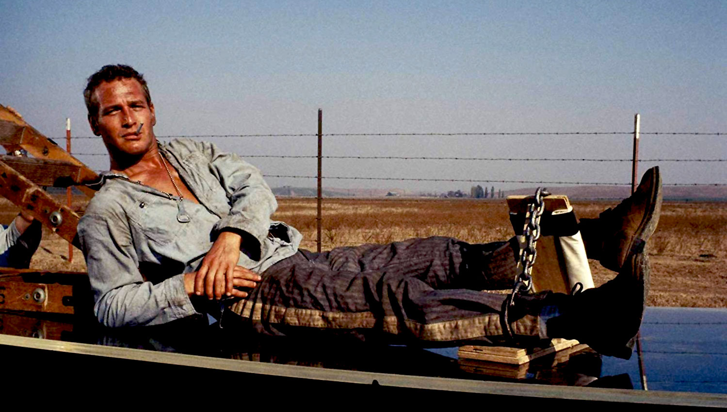 Paul Newman defiant in <em>Cool Hand Luke</em>