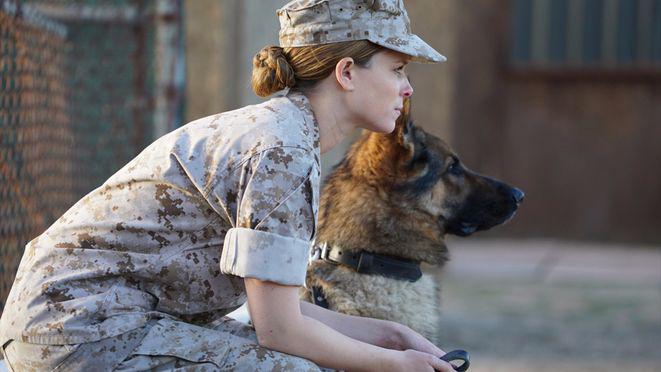 Film: “They aren't pets, they're warriors.” First-time canine
